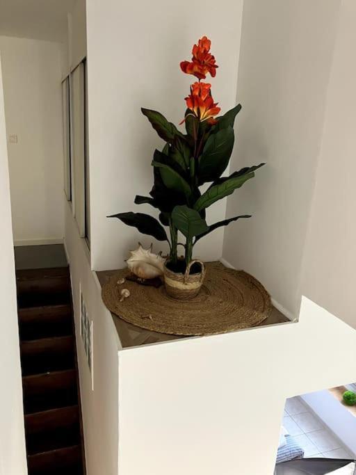 Apartament Mer, Soleil Et Vacances Le Barcarès Zewnętrze zdjęcie